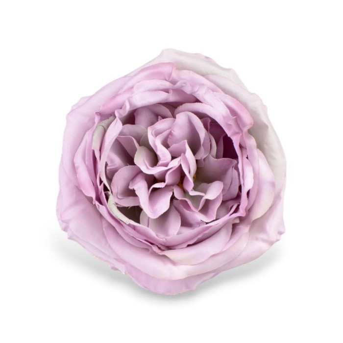 PICK ROSA CABBEGE LILAC